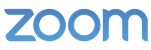 Zoom Logo 300x100